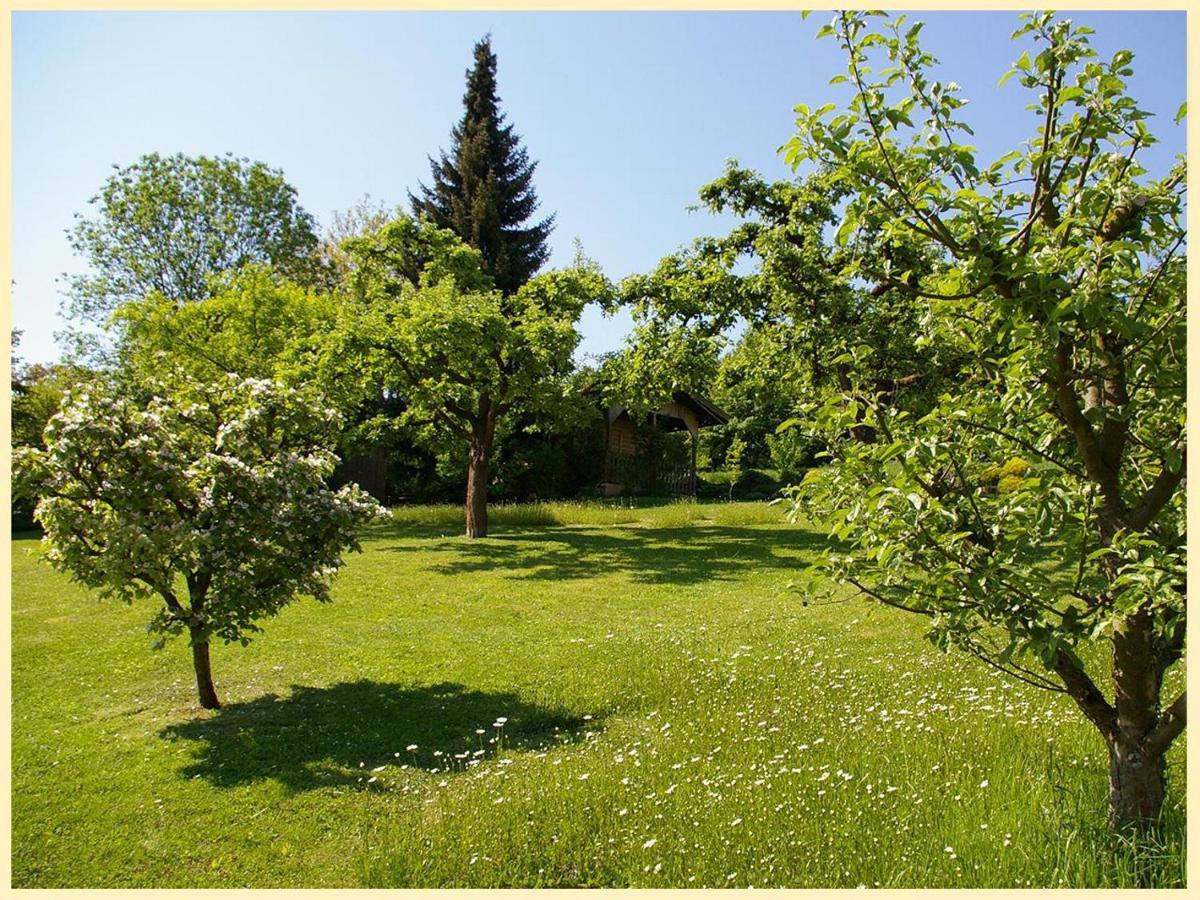 Bed and Breakfast Gastehaus Claudia Bad Abbach Exteriér fotografie